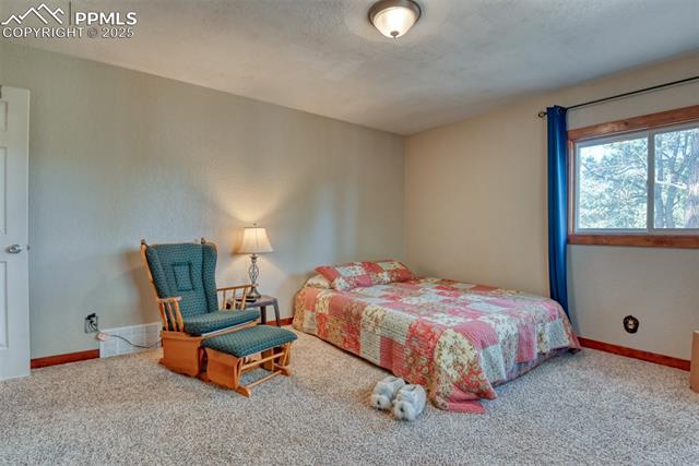 MLS Image for 281  Mesa  ,Florissant, Colorado