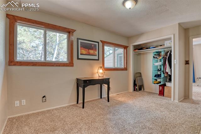MLS Image for 281  Mesa  ,Florissant, Colorado