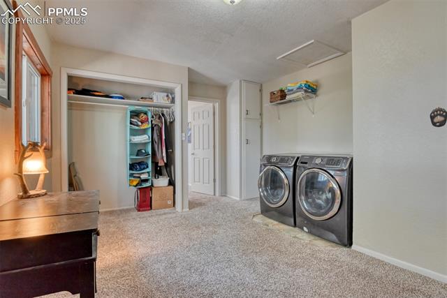 MLS Image for 281  Mesa  ,Florissant, Colorado