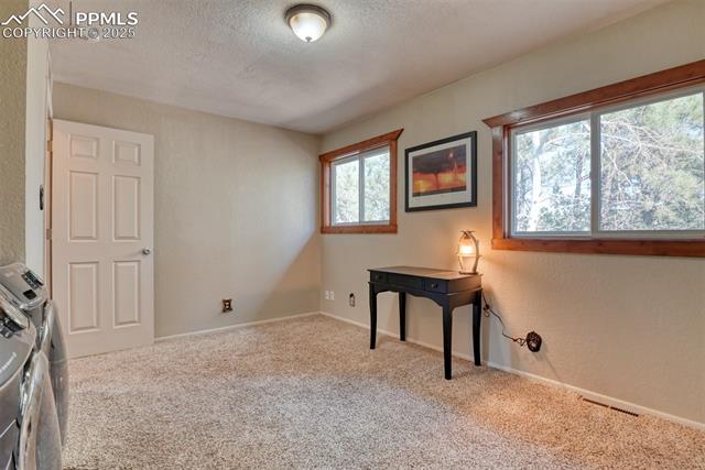 MLS Image for 281  Mesa  ,Florissant, Colorado
