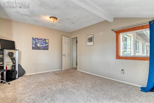 MLS Image for 281  Mesa  ,Florissant, Colorado