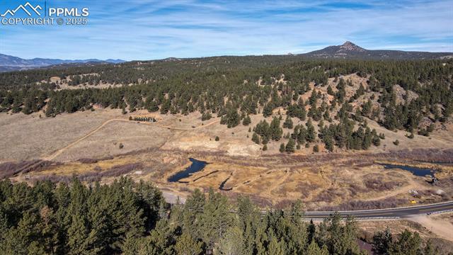 MLS Image for 281  Mesa  ,Florissant, Colorado