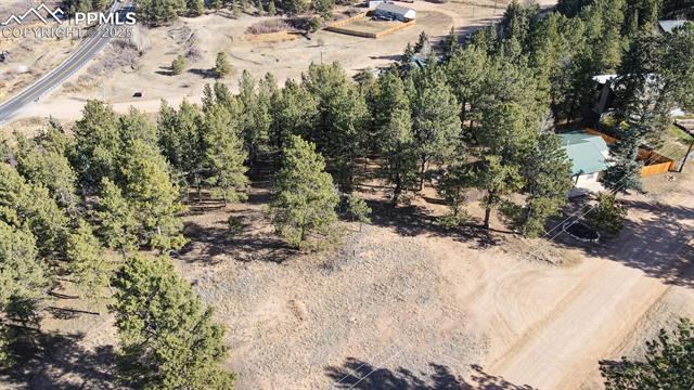 MLS Image for 281  Mesa  ,Florissant, Colorado