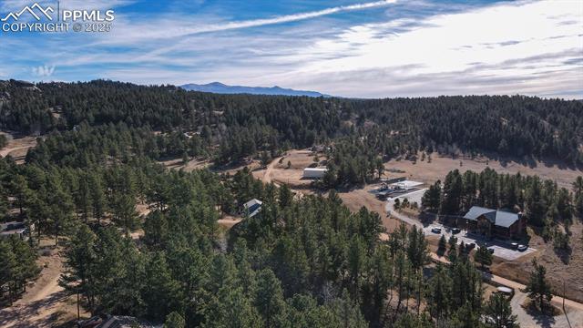 MLS Image for 281  Mesa  ,Florissant, Colorado