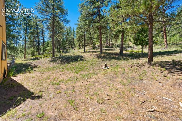 MLS Image for 5463  High Park  ,Florissant, Colorado