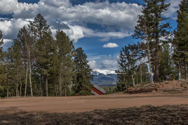 MLS Image for 342  Blue Mesa  ,Divide, Colorado