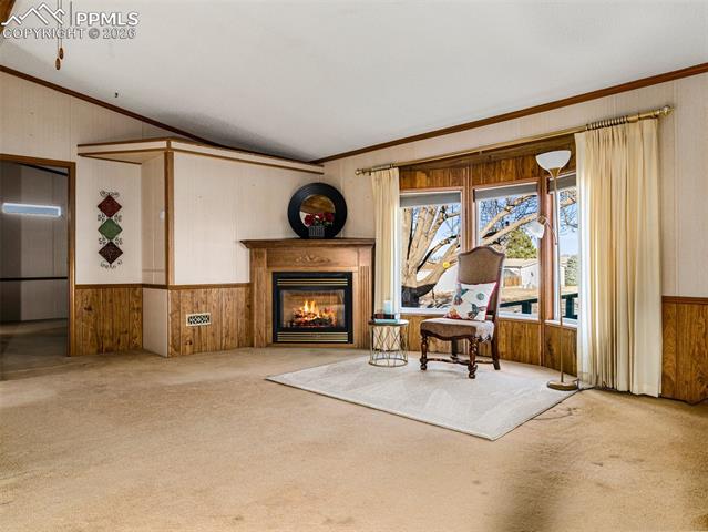 MLS Image for 183 E Birch Hills  ,Pueblo, Colorado