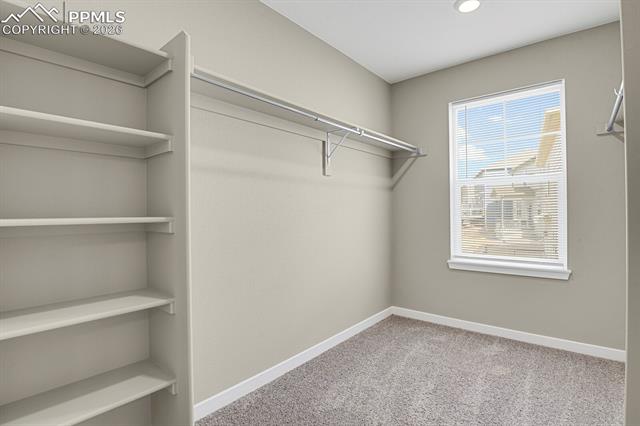 MLS Image for 10210  Elgon  ,Colorado Springs, Colorado