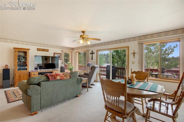 MLS Image for 399  Apache  ,Woodland Park, Colorado