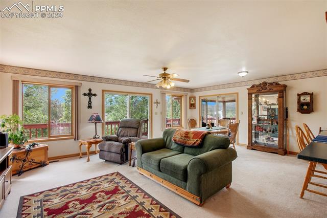 MLS Image for 399  Apache  ,Woodland Park, Colorado