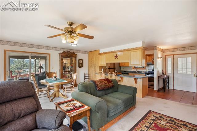 MLS Image for 399  Apache  ,Woodland Park, Colorado