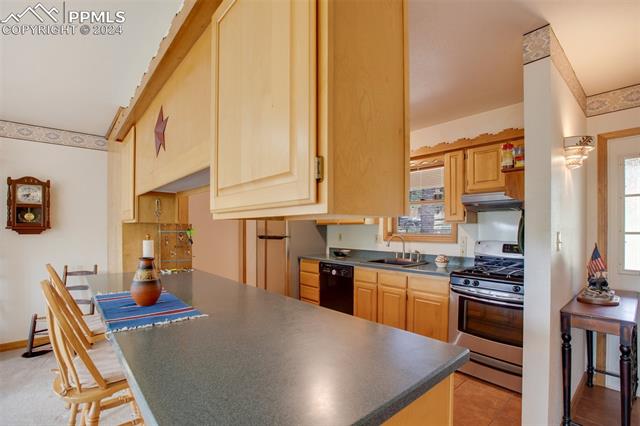 MLS Image for 399  Apache  ,Woodland Park, Colorado