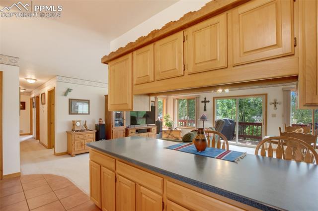 MLS Image for 399  Apache  ,Woodland Park, Colorado