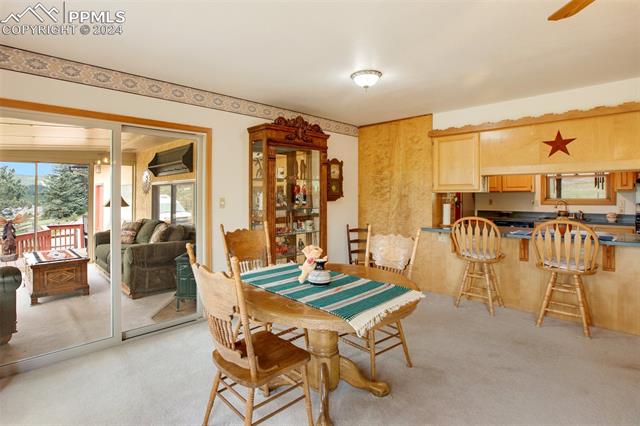 MLS Image for 399  Apache  ,Woodland Park, Colorado