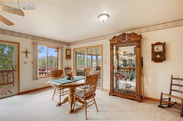 MLS Image for 399  Apache  ,Woodland Park, Colorado