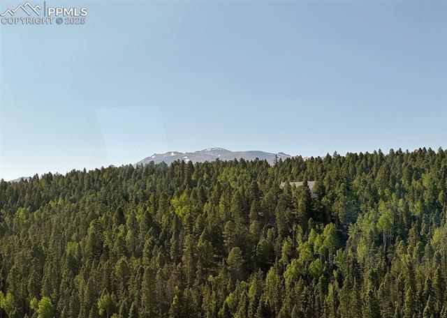 MLS Image for 61  MUSKRAT LAKE  ,Divide, Colorado