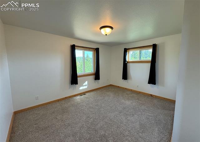 MLS Image for 61  MUSKRAT LAKE  ,Divide, Colorado