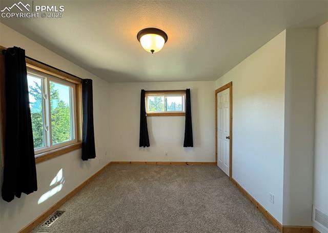 MLS Image for 61  MUSKRAT LAKE  ,Divide, Colorado