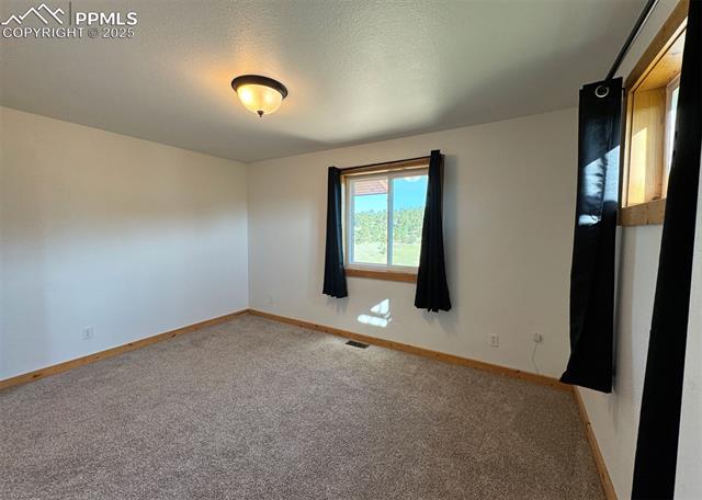 MLS Image for 61  MUSKRAT LAKE  ,Divide, Colorado
