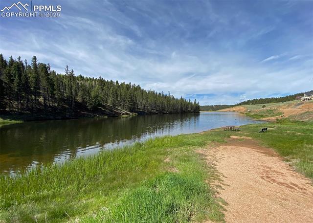 MLS Image for 61  MUSKRAT LAKE  ,Divide, Colorado