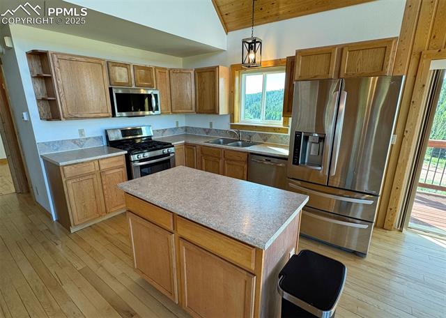 MLS Image for 61  MUSKRAT LAKE  ,Divide, Colorado