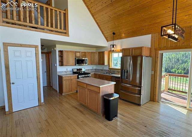 MLS Image for 61  MUSKRAT LAKE  ,Divide, Colorado
