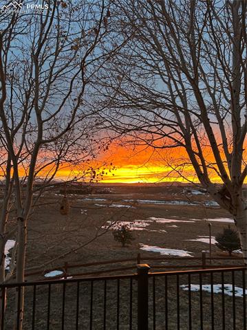 MLS Image for 20050  Bright Wing  ,Colorado Springs, Colorado