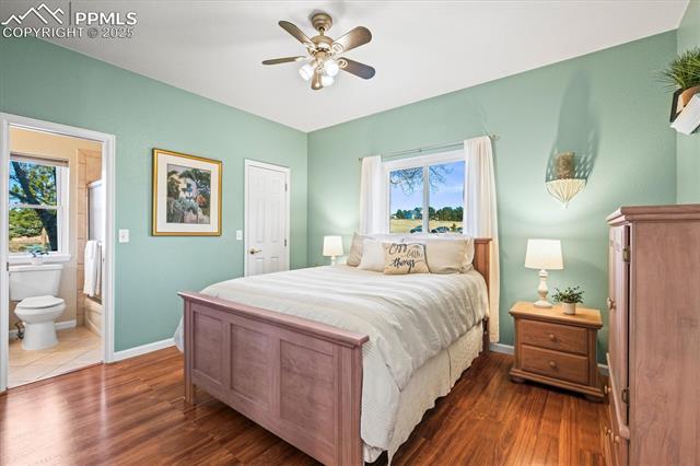 MLS Image for 20050  Bright Wing  ,Colorado Springs, Colorado