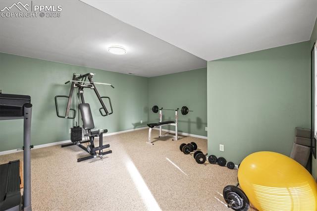 MLS Image for 20050  Bright Wing  ,Colorado Springs, Colorado
