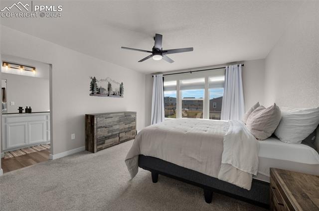 MLS Image for 11438  Wigeon  ,Colorado Springs, Colorado