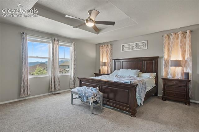 MLS Image for 6070  Rowdy  ,Colorado Springs, Colorado