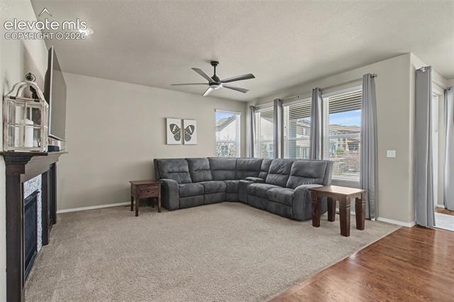 MLS Image for 6070  Rowdy  ,Colorado Springs, Colorado