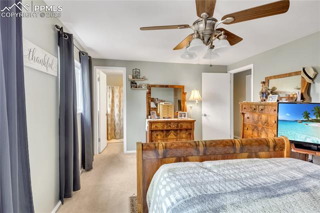 MLS Image for 5560  Constitution  ,Colorado Springs, Colorado