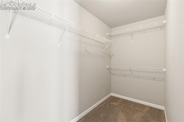 MLS Image for 1047  Tyre  ,Colorado Springs, Colorado