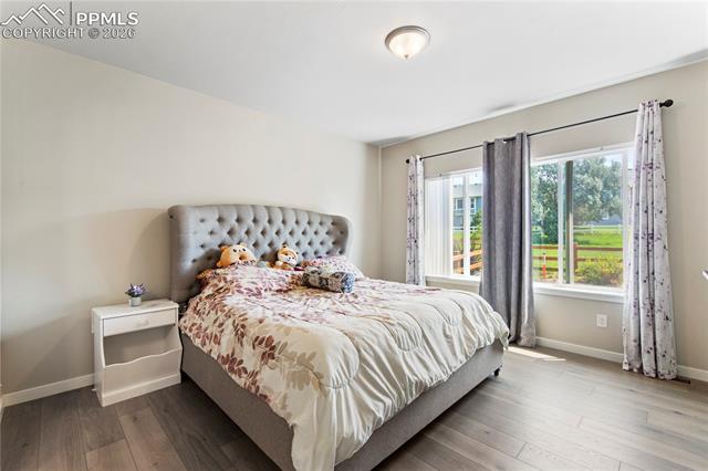MLS Image for 4023  Ivy Hill  ,Colorado Springs, Colorado