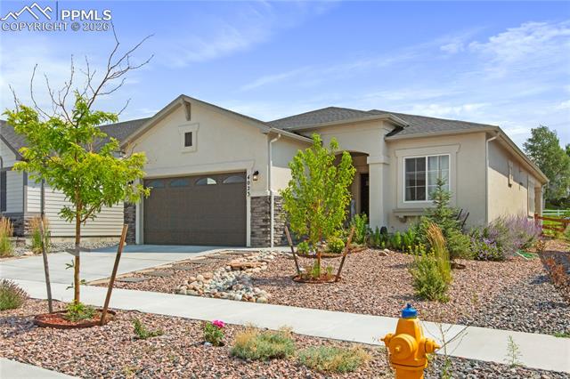 MLS Image for 4023  Ivy Hill  ,Colorado Springs, Colorado