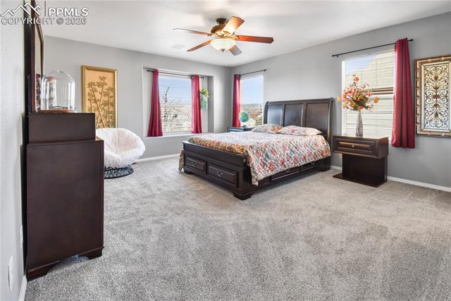 MLS Image for 3623  Spitfire  ,Colorado Springs, Colorado