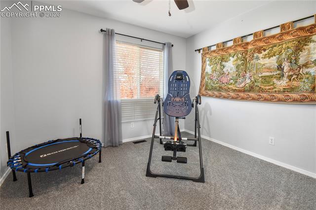 MLS Image for 3623  Spitfire  ,Colorado Springs, Colorado