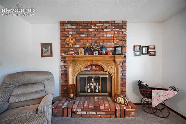 MLS Image for 400  Sunnywood  ,Woodland Park, Colorado
