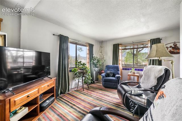 MLS Image for 127  3rd  ,Monument, Colorado