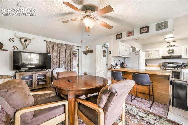MLS Image for 127  3rd  ,Monument, Colorado