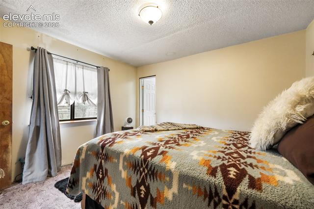 MLS Image for 127  3rd  ,Monument, Colorado