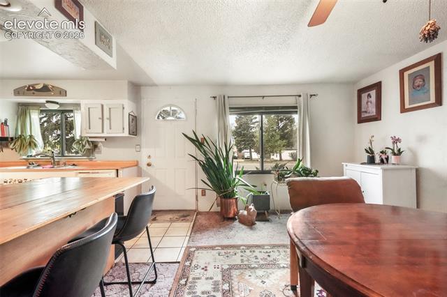 MLS Image for 127  3rd  ,Monument, Colorado