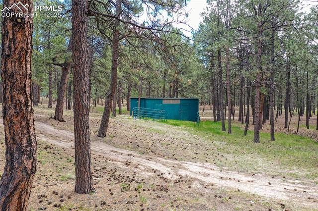 MLS Image for 12375  Mt Shasta  ,Elbert, Colorado
