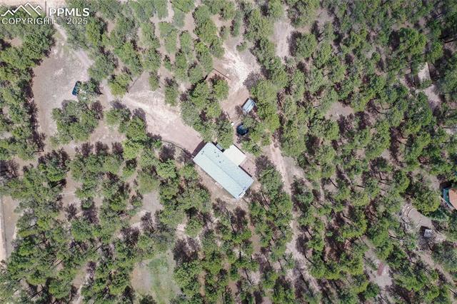 MLS Image for 12375  Mt Shasta  ,Elbert, Colorado
