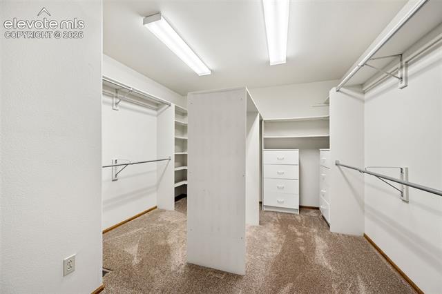 MLS Image for 4530  Churchill  ,Colorado Springs, Colorado