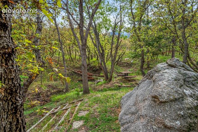 MLS Image for 4530  Churchill  ,Colorado Springs, Colorado
