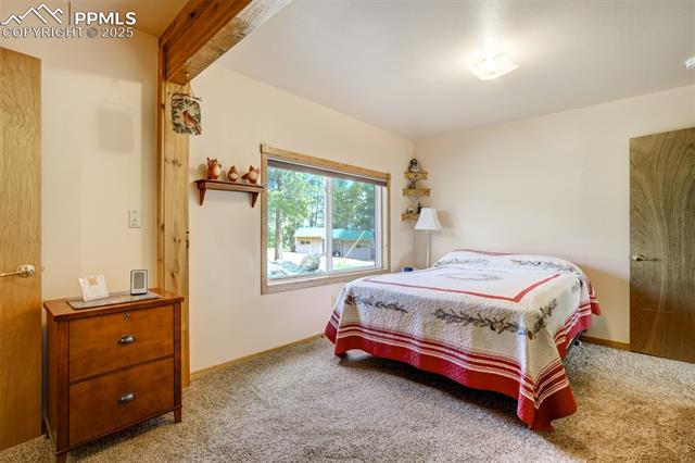MLS Image for 2134  Homestake  ,Florissant, Colorado