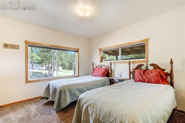 MLS Image for 2134  Homestake  ,Florissant, Colorado