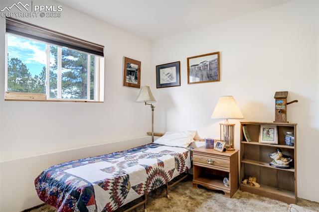 MLS Image for 2134  Homestake  ,Florissant, Colorado